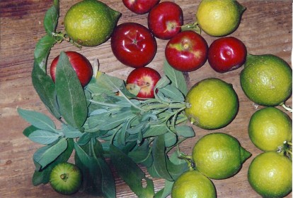 Sicilie vruchten nutstuin