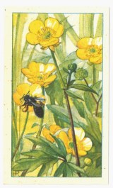 rampa001_31-8-2018_14-09-08.1 (2)