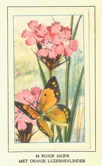 rampa001_31-8-2018_16-57-00 (2)